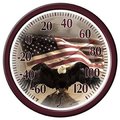 Taylor Precision Products Taylor Precision Products 142309 13.25 in. Bald Eagle with American Flag Dial Thermometer 142309
